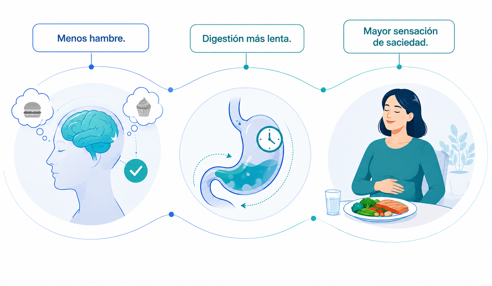 Infografía sobre cómo los medicamentos GLP-1 reducen el hambre, ralentizan el vaciado del estómago y aumentan la saciedad